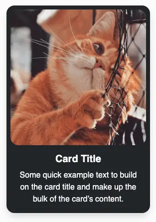 Simple Bootstrap 5 Card Design